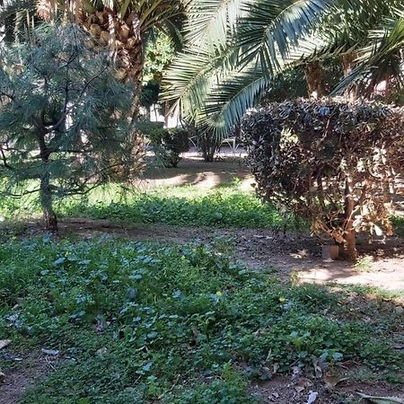 Del Parque Flats Urban Life Apartment Malaga Ngoại thất bức ảnh